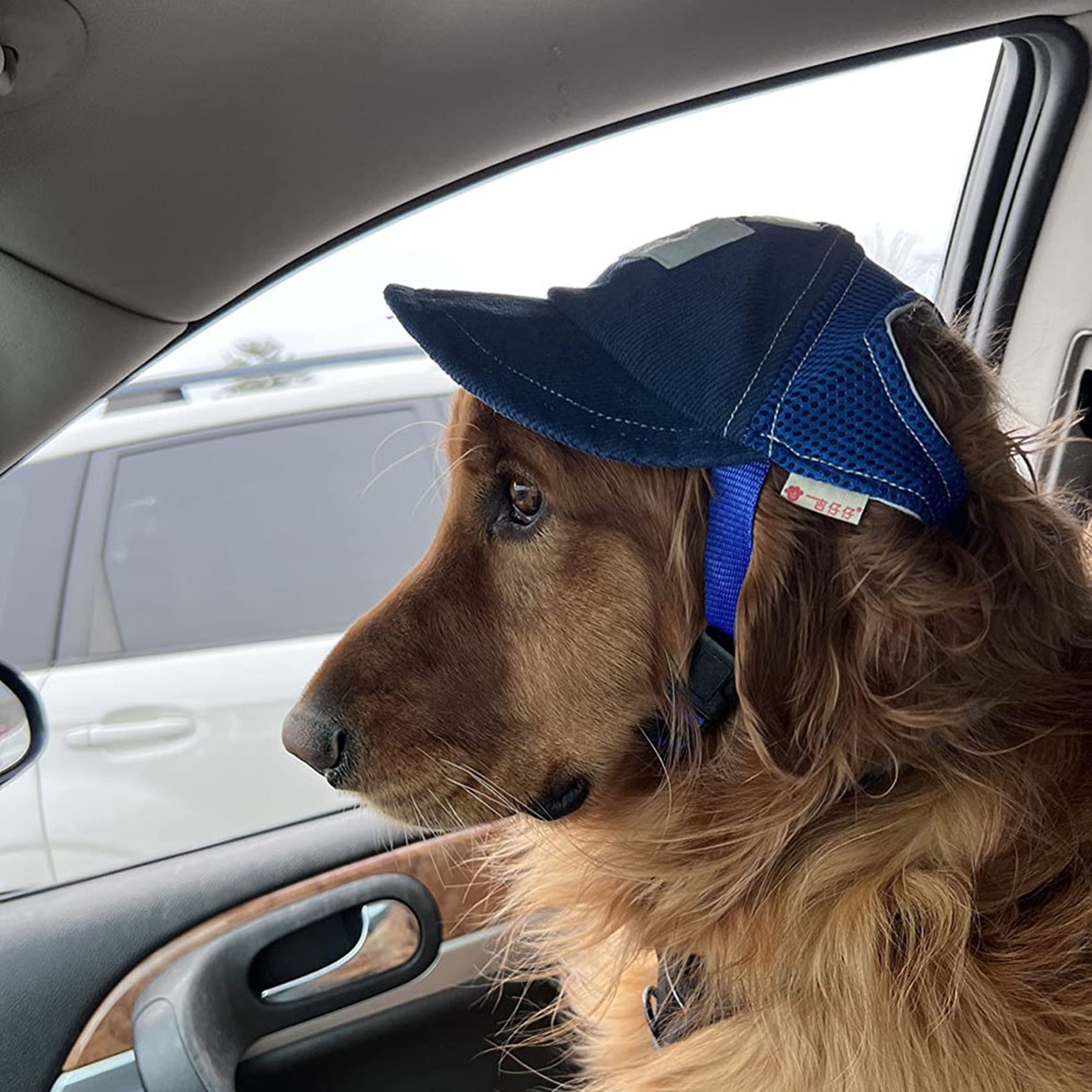 Sombrero de Sol con Diseño de Perro G, Sombrero para Viajes de Primavera y Otoño, Protección Solar Exterior con Ventilación en Malla, Gorra de Béisbol Temática Mascotas — imagen 2