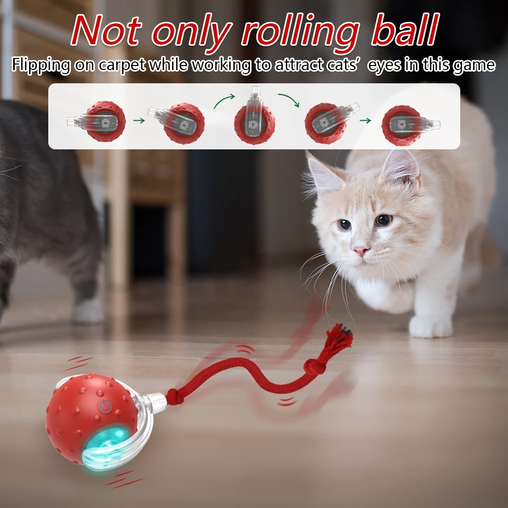 Interactive Cat Toy Ball with Bird Chirping Super Drive Cat Rolling Balls Motion Activated Sensor Pet Kittens Teaser Game Toys — image 5