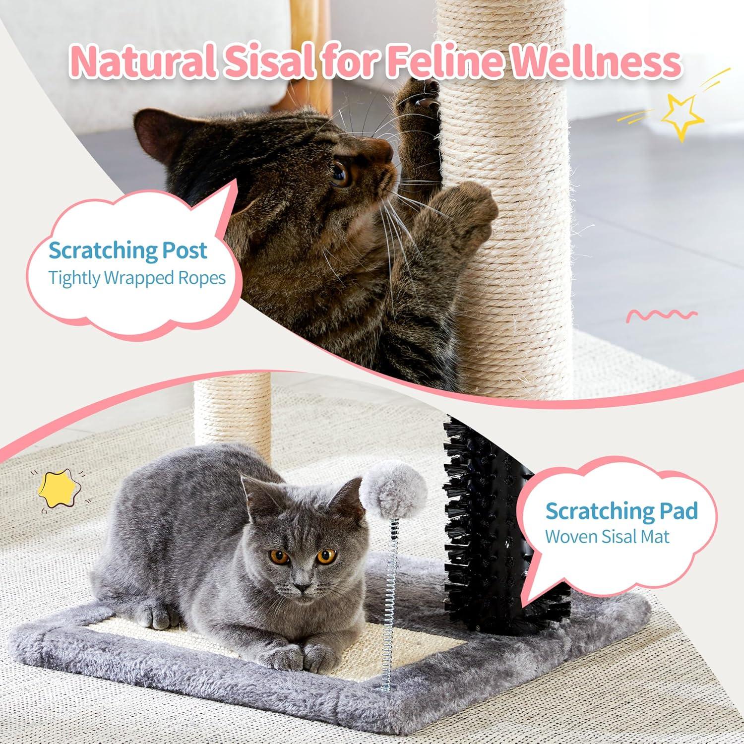 Árbol de Gato 4 en 1 Pequeño con Pelo Natural y Cepillo para Autogroomado, Poste de Escarbar Sisal y Colgantes para Entretener a los Gatos Indómitos — imagen 11