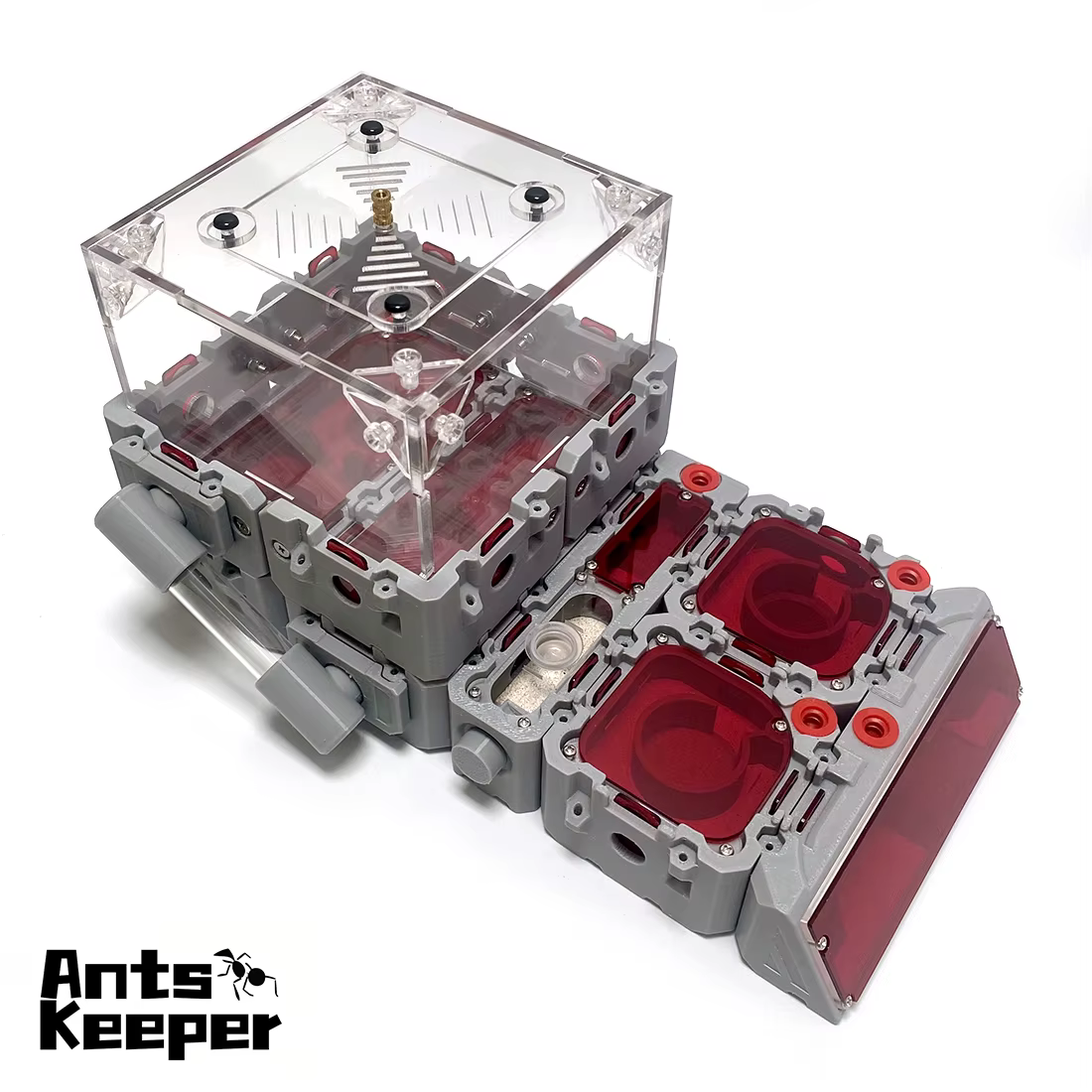 Formicario Expansivo Modular para Hormigas - Nido de Reina Grande con Tubos de Prueba para Principiantes — imagen 2