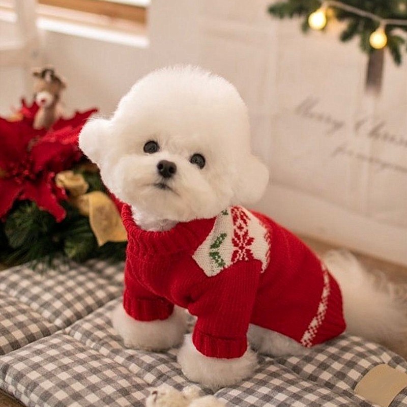 Suéter de Dos Patas para Cachorros de Otoño e Invierno, Suéter de Punto Cálido para Perros Pequeños y Medianos, Ropa Navideña para Gatos — imagen 3