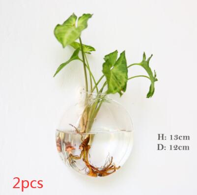 Vaso de Vidrio para Terrario Decorativo en Línea - Jardín Acuático para Hogar — imagen 47