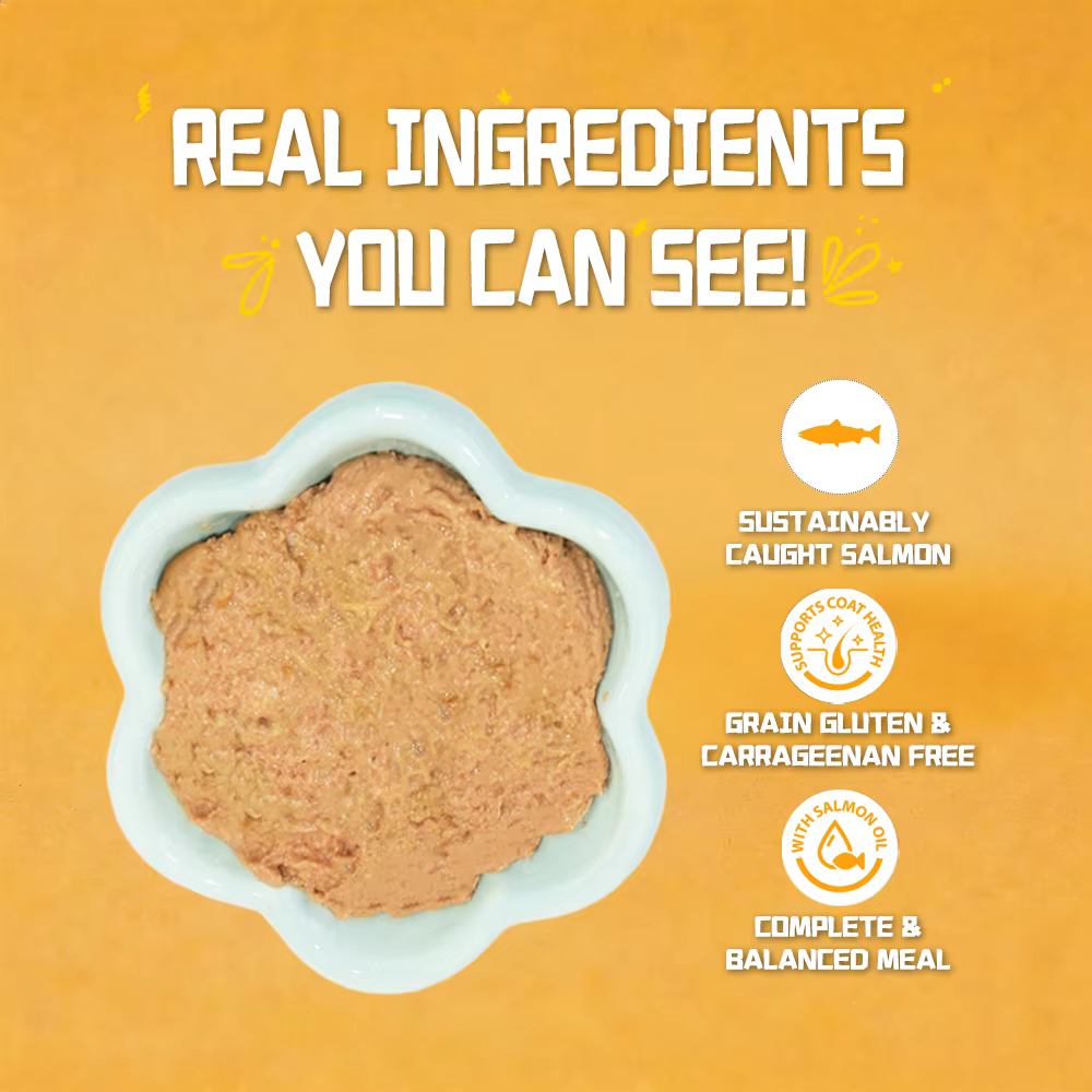 Comida enlatada para mascotas de Petfull - 170g x 24 latas, sabor salmón, pollo, atún y carne de ternera para gatos y perros — imagen 5