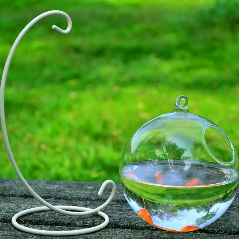 Vaso de Vidrio Suspendido para Acuario — imagen 4