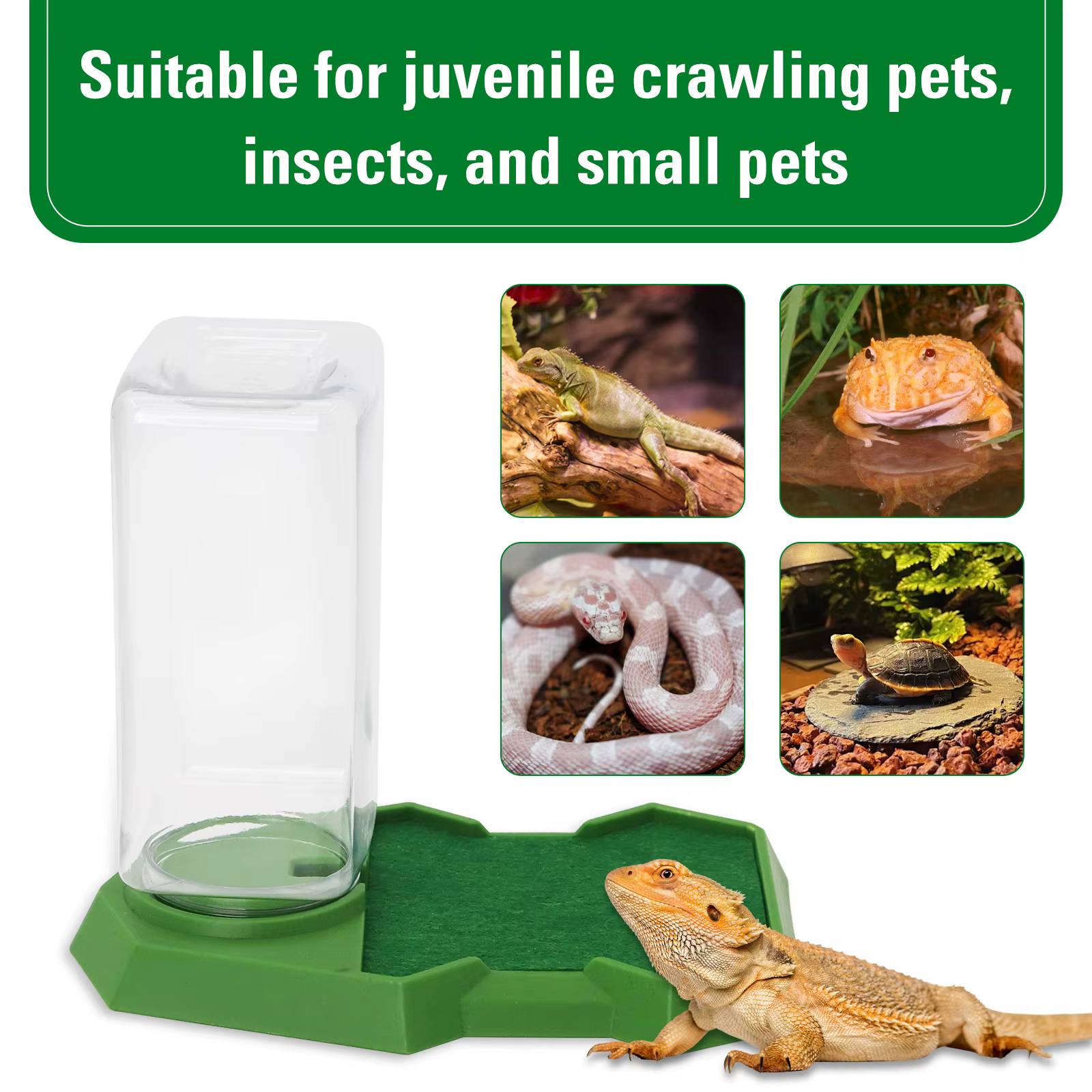 Reptile Automatic Water Drinker Feeder with Absorbent Cotton Drinking Bowl for Pet Lizard Terrariums and Habitats Drink Bottle — imagen 5
