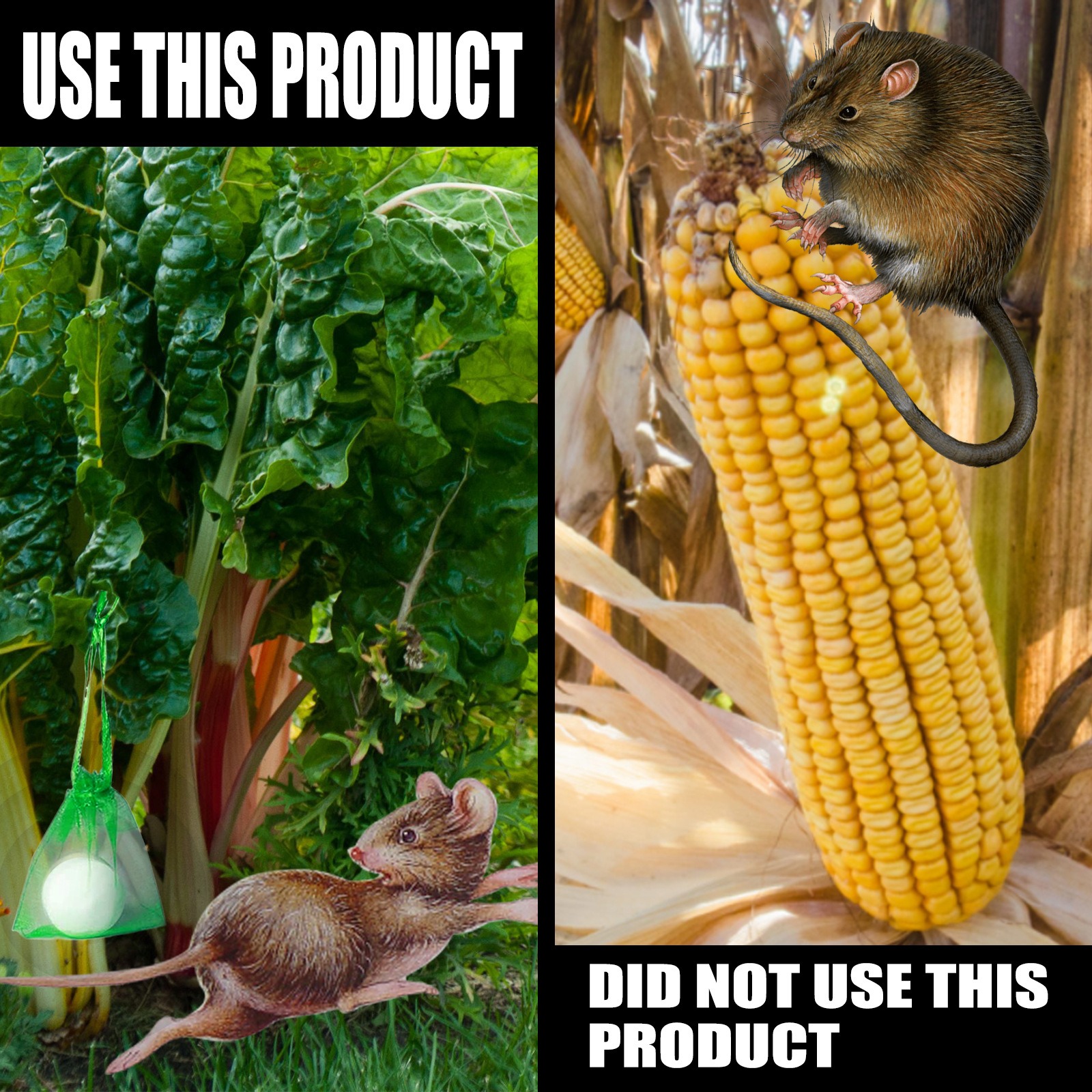 Mouse Repellent Mice Repellent for House Repel Mice Rats Rodent Control for Household Garden Yard Supplies — image 3