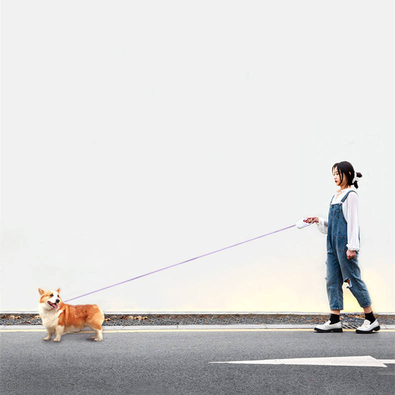 Cuerda Retráctil Automática para Perros con Iluminación - Cadenita de Perro - Suministros para Mascotas - Cuerda de Lazo — imagen 5