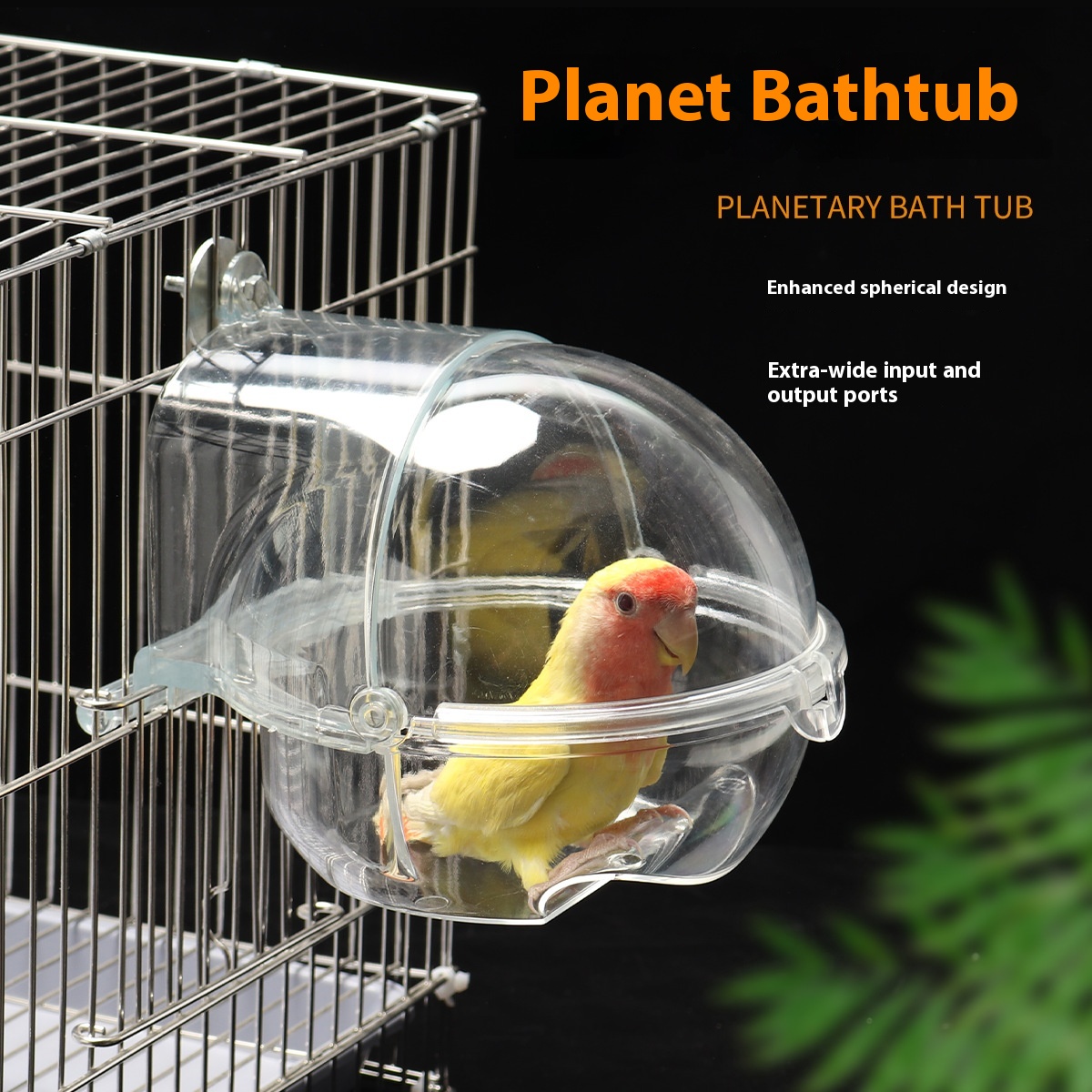 Baño para Pájaros con Conector de Corriente — imagen 5