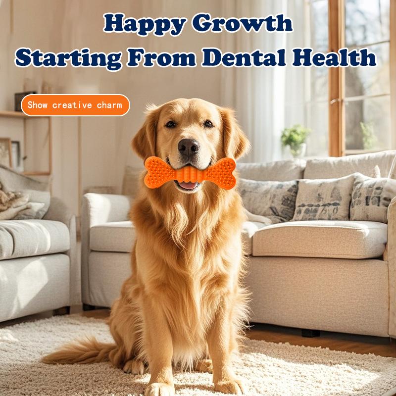 Juguetes de Mordida para Perros 2 Unidades - Cepillo Dental y Palito de Mordida Seguro — imagen 13