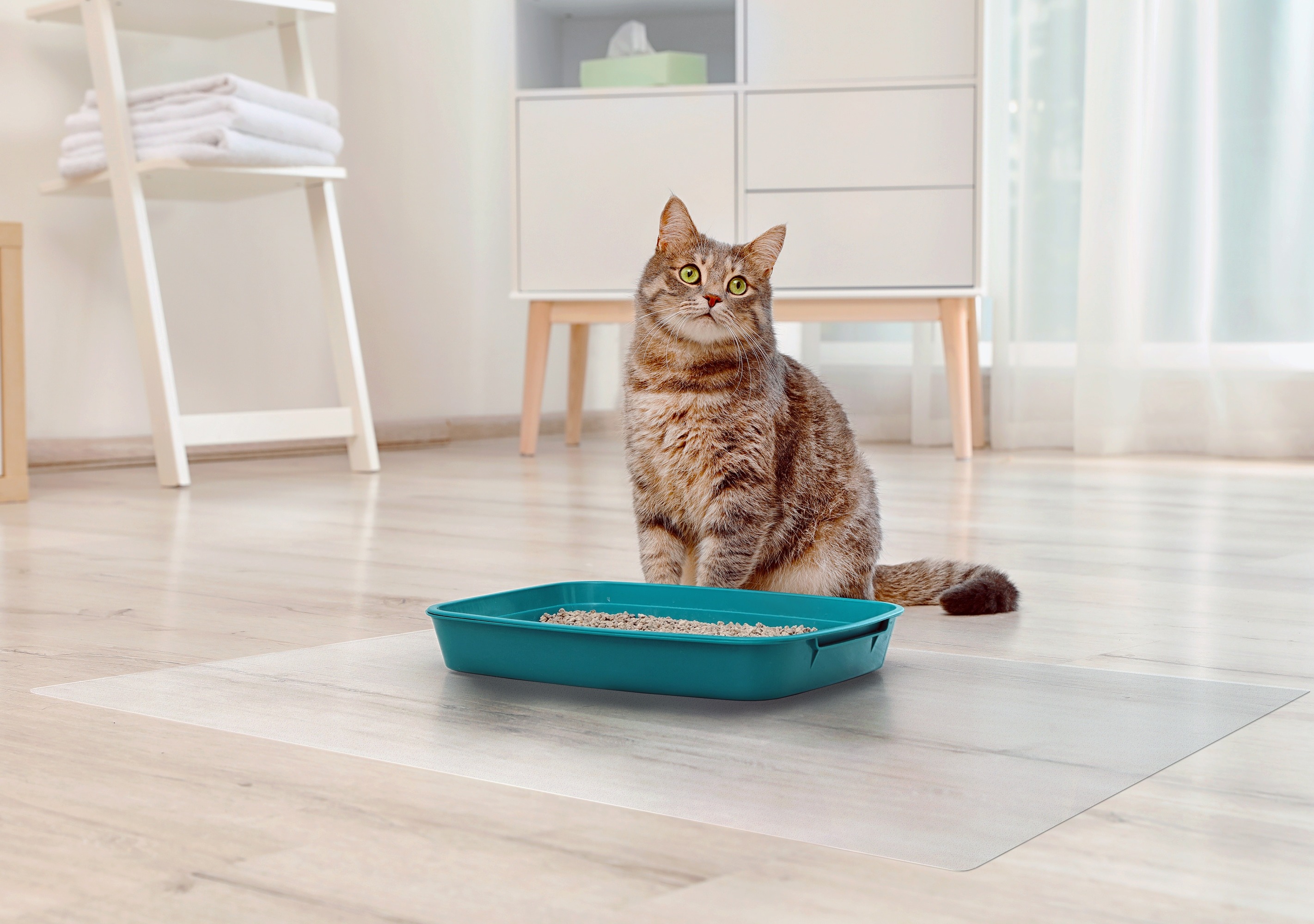 Manta de Piso PVC Congelado - 1.5mm Anti-Rasguño Impermeable para Área de Alimentación de Mascotas y Suelo de Cárcel Canina — imagen 5