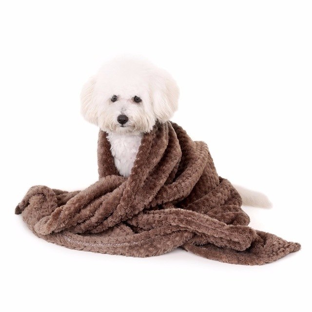 Blanket, Pet, Dog, Warm — image 9