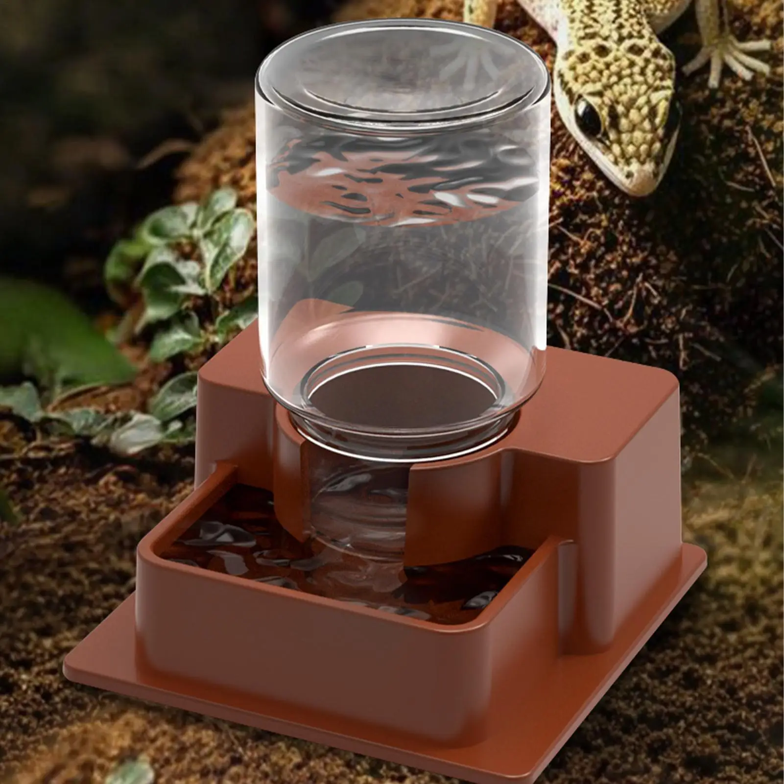 Automatic Reptile Feeder Automatic Detachable Reptile Bowl Tortoise Water Dish Gecko Drink Dispenser for Lizard Chameleon Snake — image 1