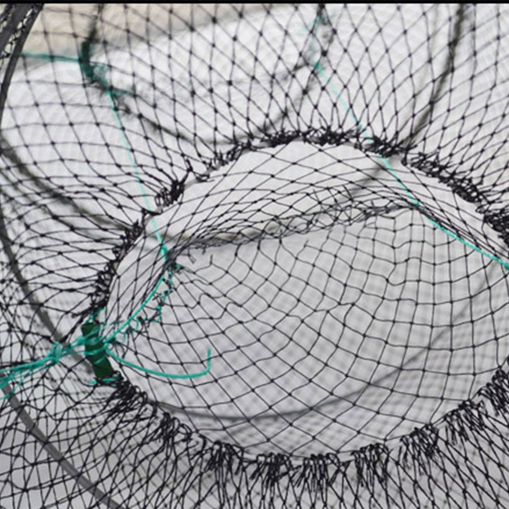 Caja para Peces Caja de Tortuga Herramienta para Pescar — imagen 1