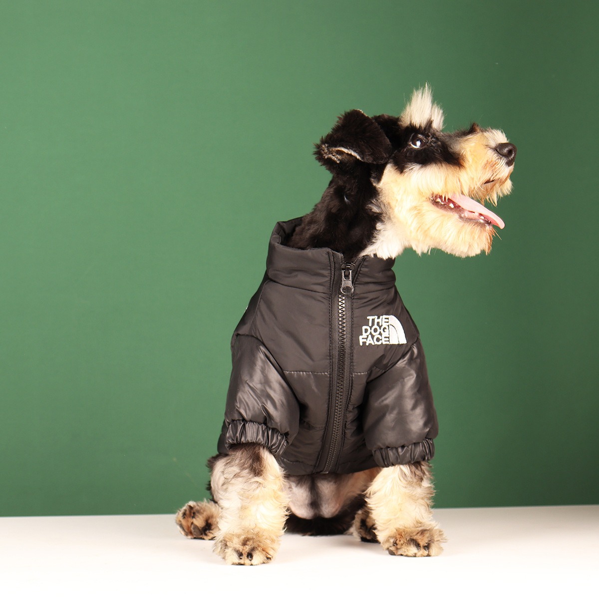 New Pet Warmth DOG FACE Cotton Shirt Small and Medium Dog Fashion Coat Embroidered Coat Dog Cat Clothes — image 4