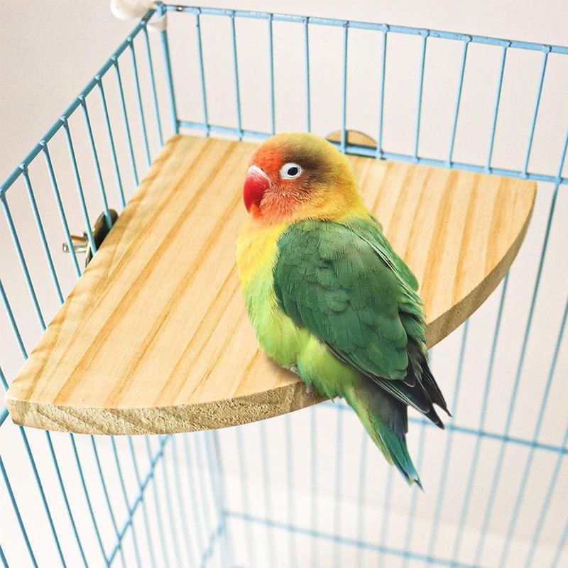 Climbing And Playing Bird Cage Accessories Toy Solid Wood Jumping Platform Standing Board — image 4