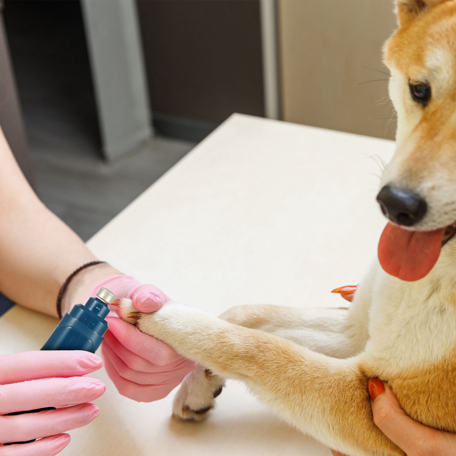 Afilador de Uñas Caninas 2 Velocidades Silencioso Recargable USB Triturador de Uñas para Mascotas Corte Preciso y Suave para Perros Pequeños, Medianos y Grandes y Gatos — imagen 6