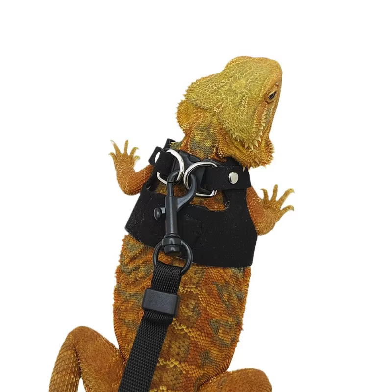 Set de 3 Piezas de Correa Dividida para Lagartos, Arnés Transpirable para Reptiles, Camaleones y Ardillas, Accesorio para Pasear Mascotas al Aire Libre — imagen 3