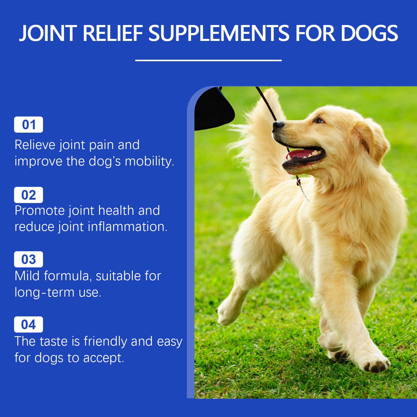 Suplementos Líquidos para Alivio de Articulaciones Caninas - Cuidado y Soporte para Todas las Razas, Reduce el Dolor Articular, La Inflamación y Mejora la Movilidad — imagen 7