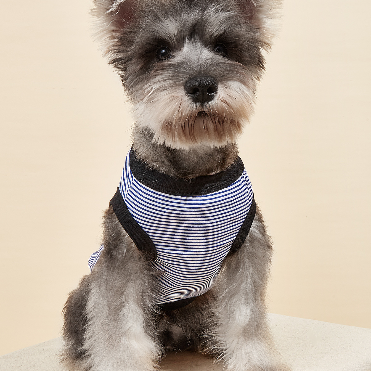 Summer New Dog Clothes Pet Clothing Striped Round Neck T-Shirt Small And Medium Dog Pomeranian Teddy Thin Section — image 6