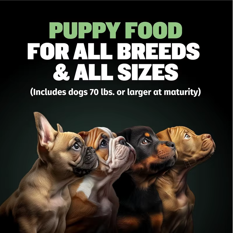 BULLY MAX ALTO CONTENIDO DE PROTEÍNAS Y FÓRMULA SALUDABLE PARA CACHORROS, Fomenta el Desarrollo Muscular Fuerte y la Salud General 120g — imagen 2