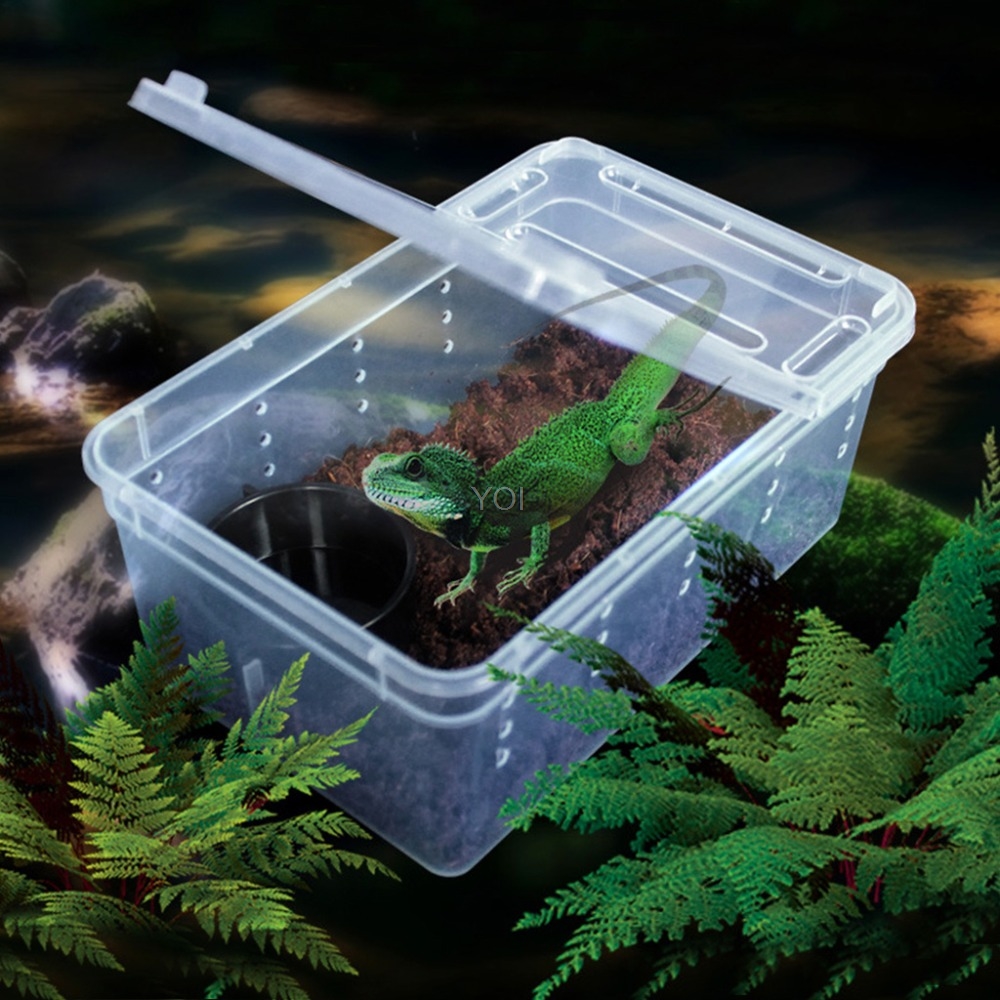 Caja de alimentación transparente para réptiles en plástico — imagen 2