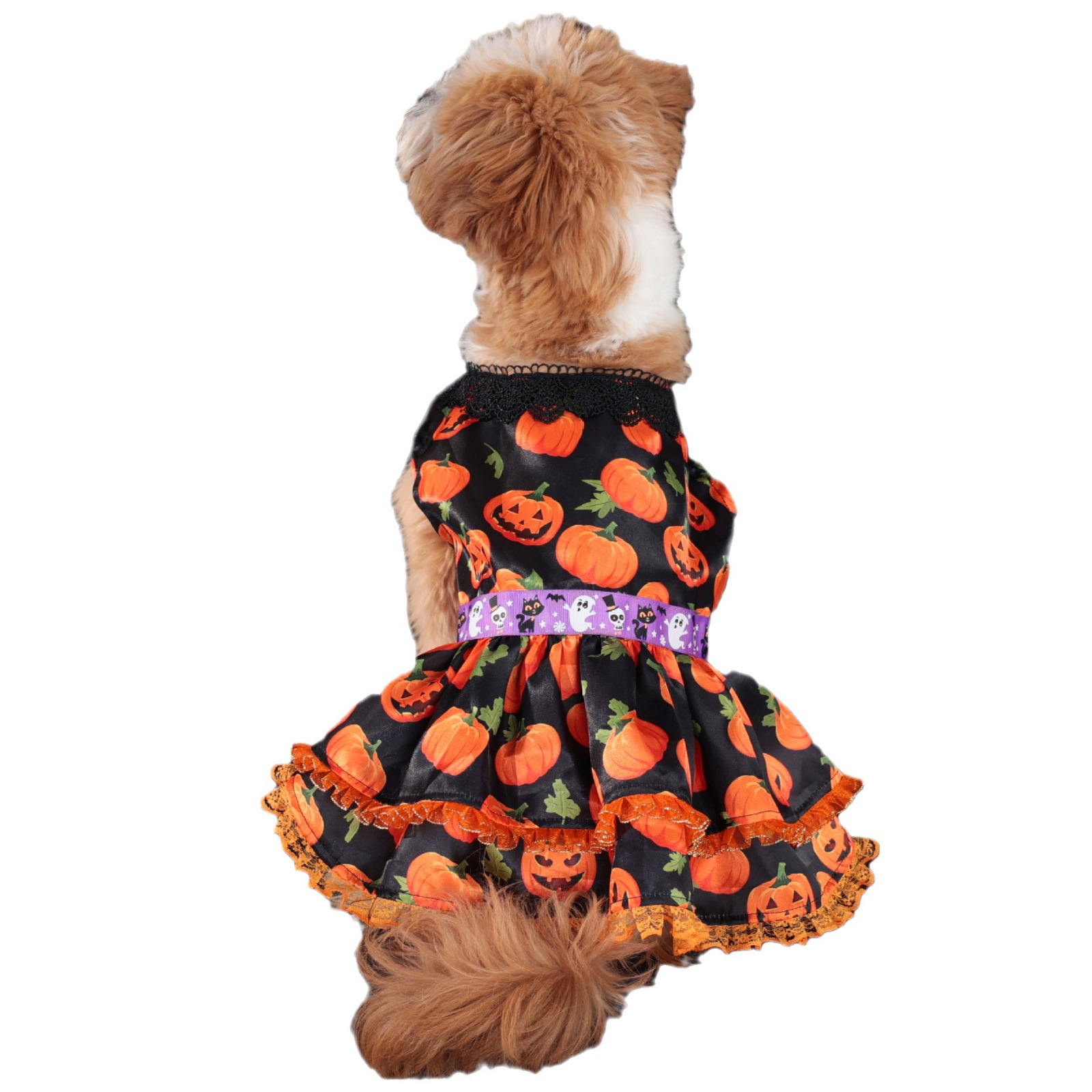 Halloween Pet Dog Dress for Medium and Small Dogs, Pumpkin Lace Skirt Factory — image 6