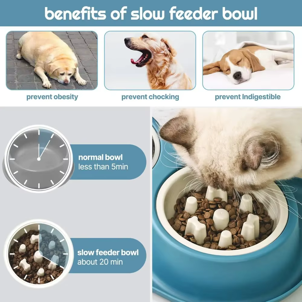 Bol de Alimentación para Gatos en Acero Inoxidable con Base de Silicón Anti-Gresca para Perros y Gatos Comida Lenta para Prevenir Ahogamiento Canino — imagen 3