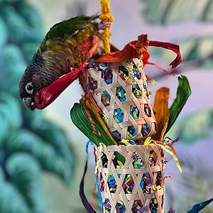 Adventure Series - Double Bamboo Basket Foraging Basket Bird Toy Handmade Parrot Toy Set — image 3