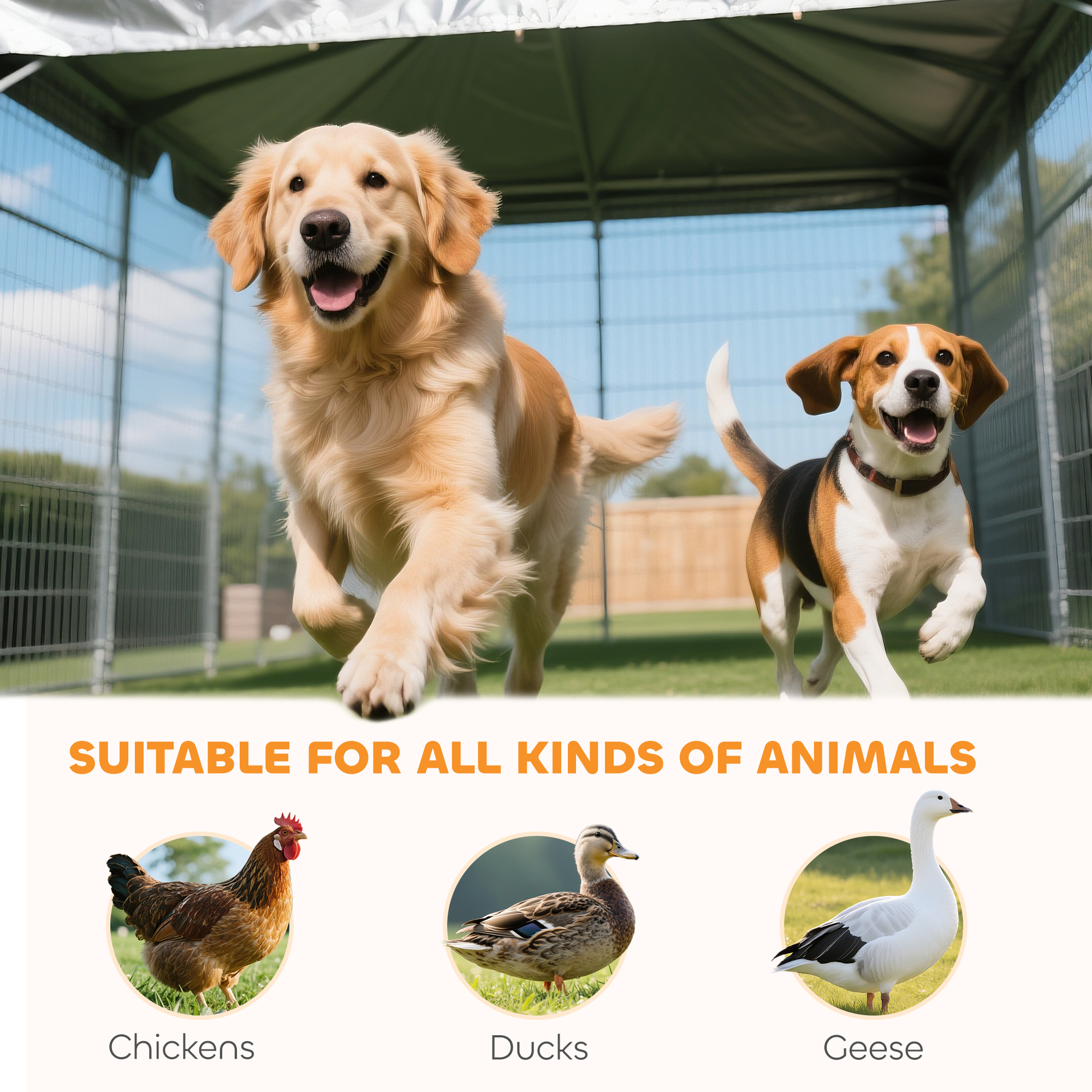 Gran Caja de Perro al Aire Libre con 2 Habitaciones, Tazas Rotativas y Altura Ajustable, 13.5 x 9.4 x 5.1 — imagen 7