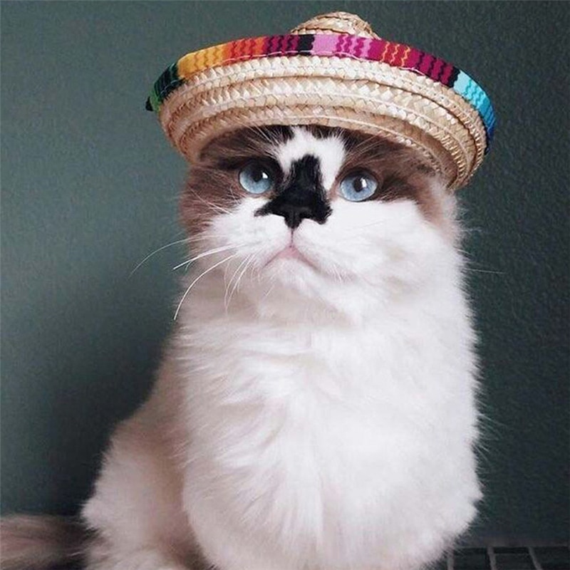 Straw Sombrero Mexican Hat Pet Adjustable Buckle Multicolor Pet Straw Dog Cat Hat — image 3