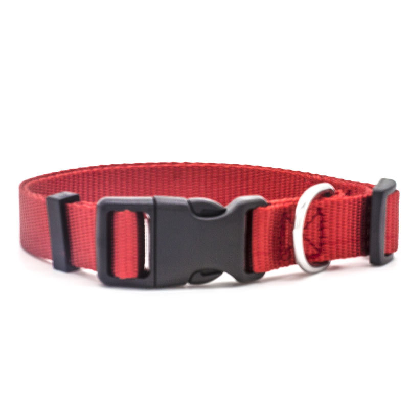 New Pet Collar — image 11