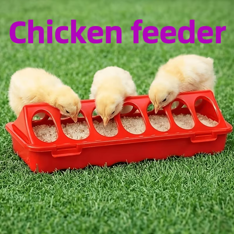 Chicken Feeder: Multi-Hole Tray, Anti-Theft, for Chicks, Quail & Wyandotte — image 4