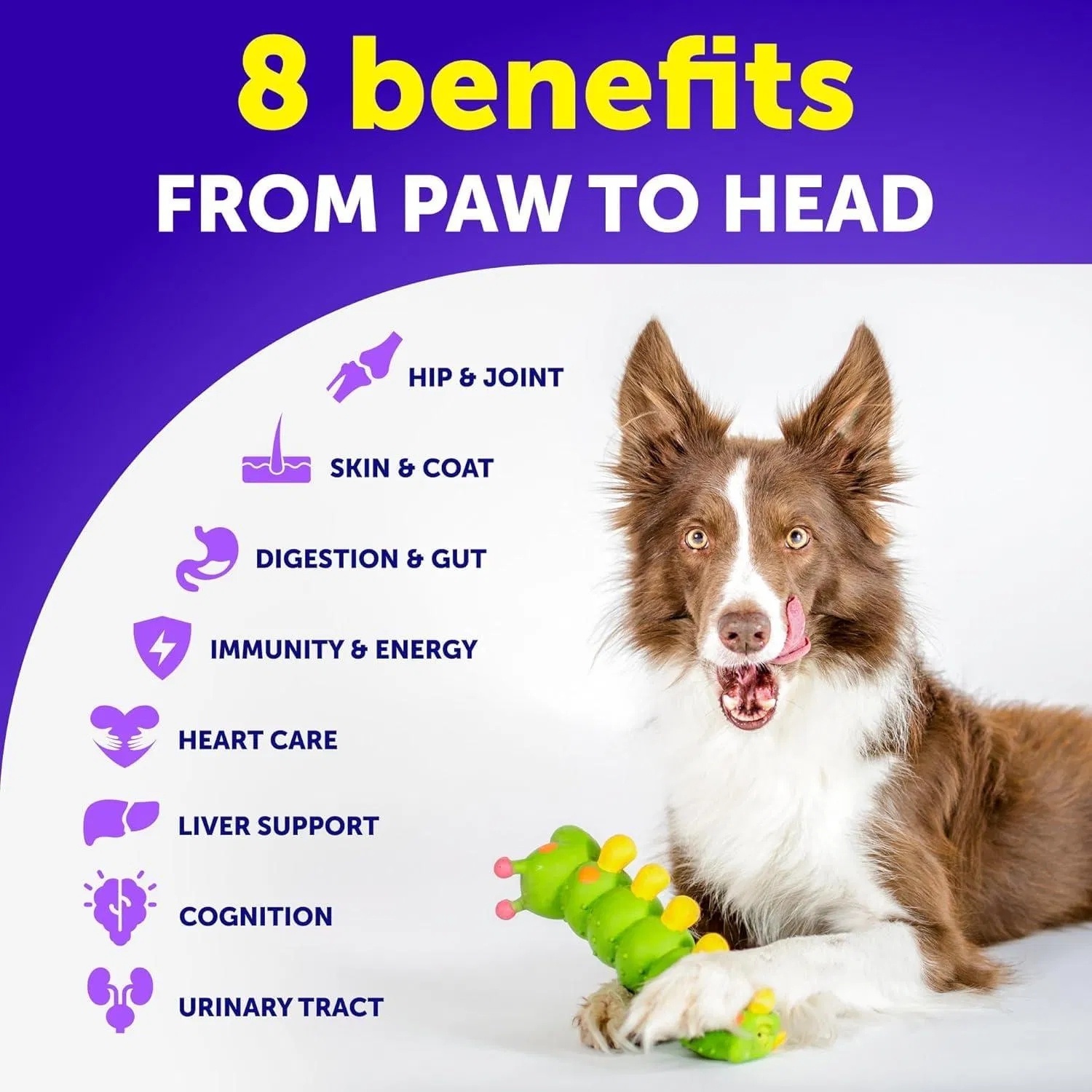 Suplemento Multivitamínico para Perros en Polvo con Glucósamina - 20 En Unidades - Vitamina y Suplemento para Cachorros de Todos los Edades - Apoyo Articular, Salud Digestiva y Piel Sana — imagen 2
