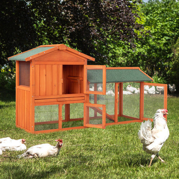 Casa de Pollos en Madera para Conejos y Pájaros - Galpón de Aves — imagen 13