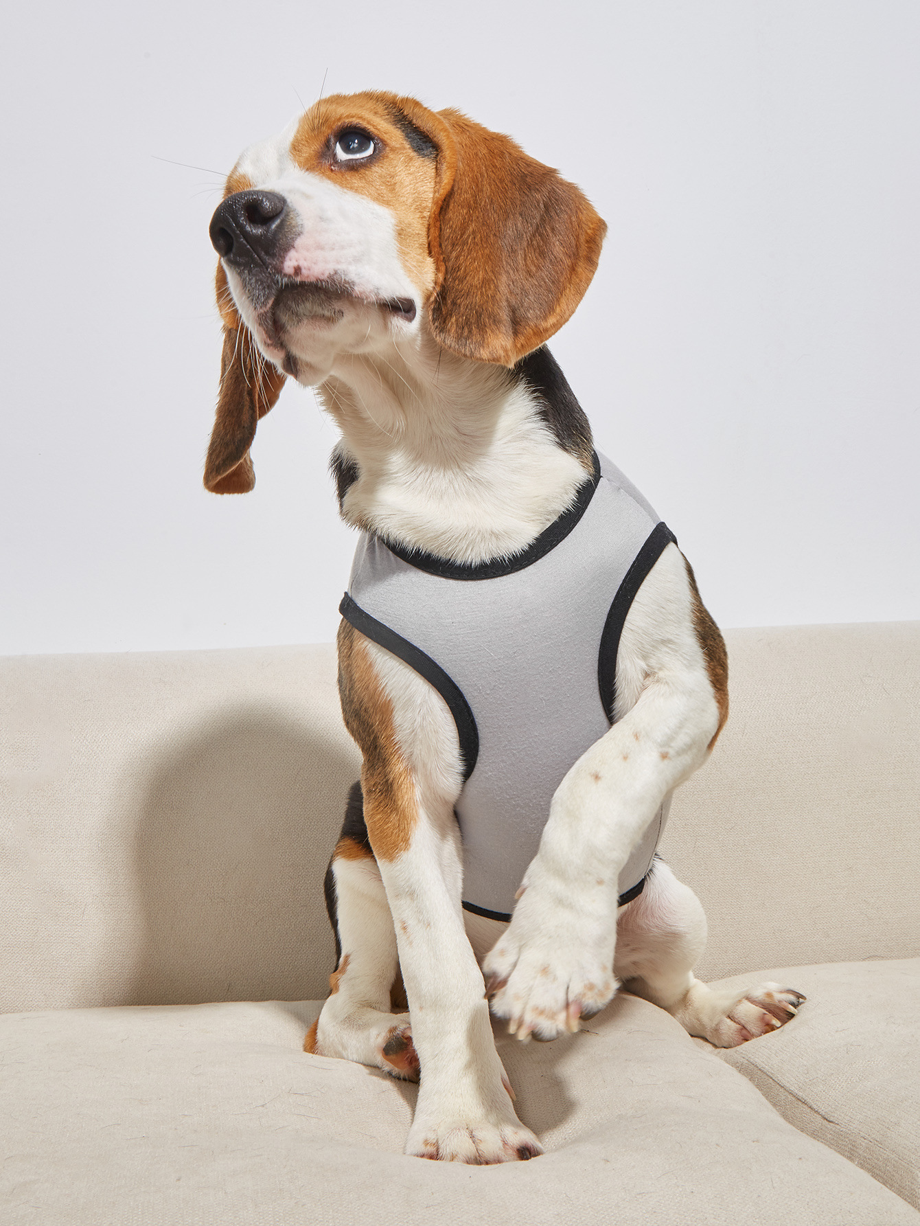 Ropa de Perro para Primavera y Verano - Vestido con Gafas, Sección Delgada, Camiseta Francesa — imagen 2