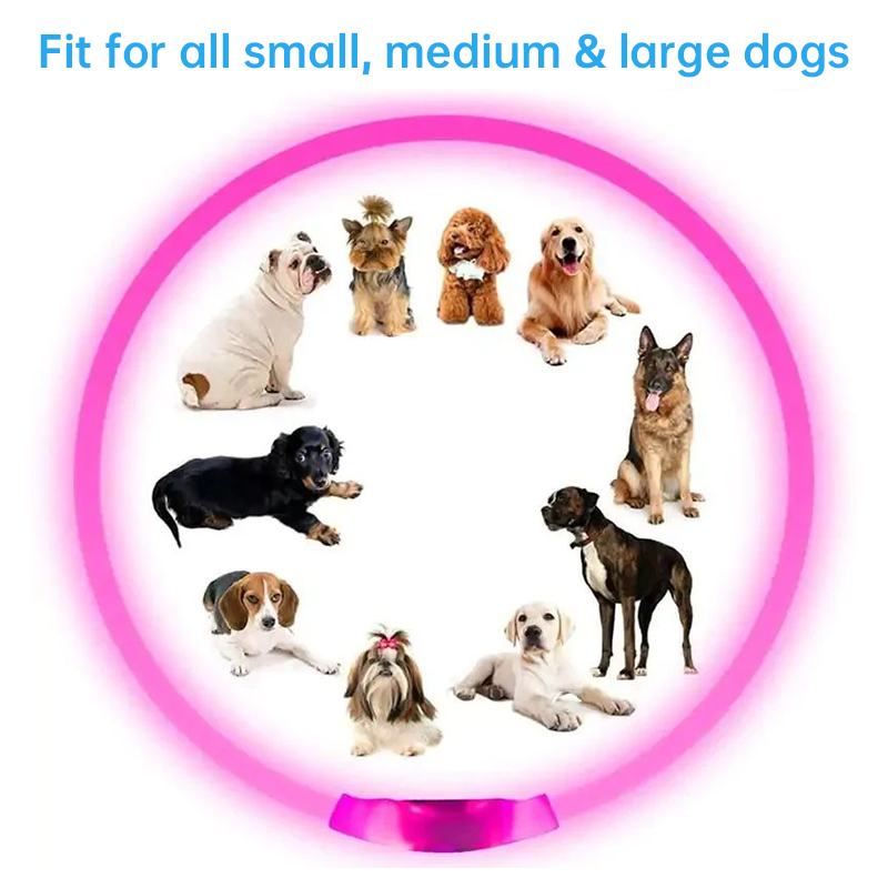 3-Mode LED Dog Collar - USB Rechargeable, Detachable & Glowing Pet Safety Necklace for Night — image 9