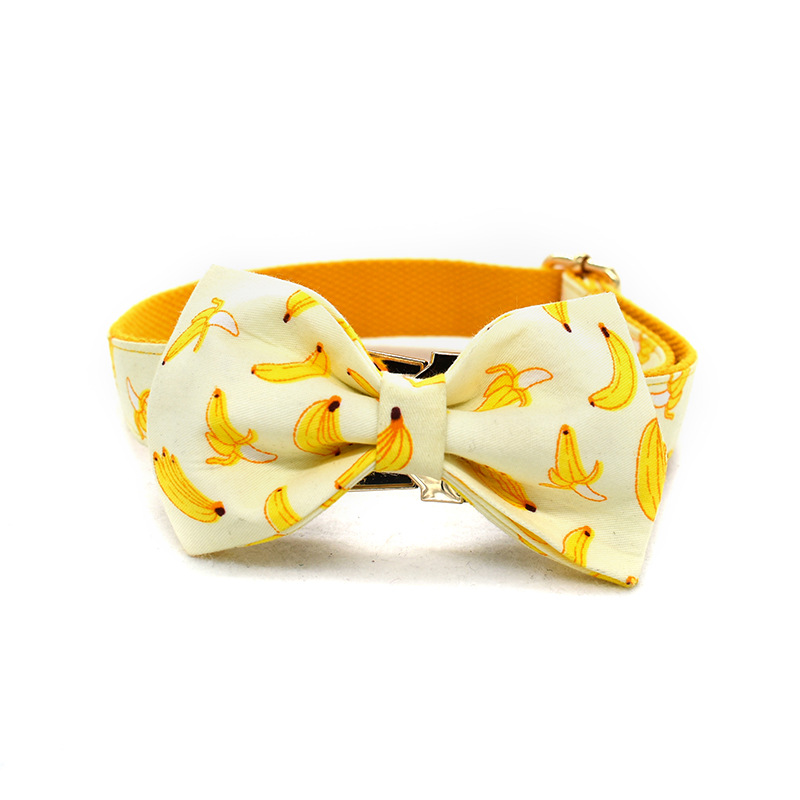 Collar de Trazo Amarillo para Perros con Cuerda de 1.5m y Broche de Oro Personalizable — imagen 3