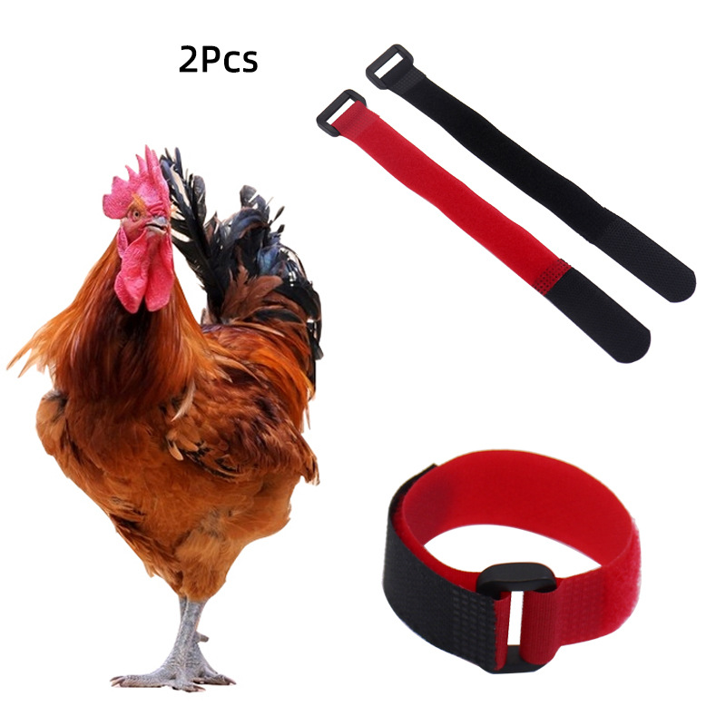 Nuevos Suministros para Mascotas Previenen Canto de Pollos Collar de Silencio para Pato Ganso Ñandú 2 Piezas — imagen 1