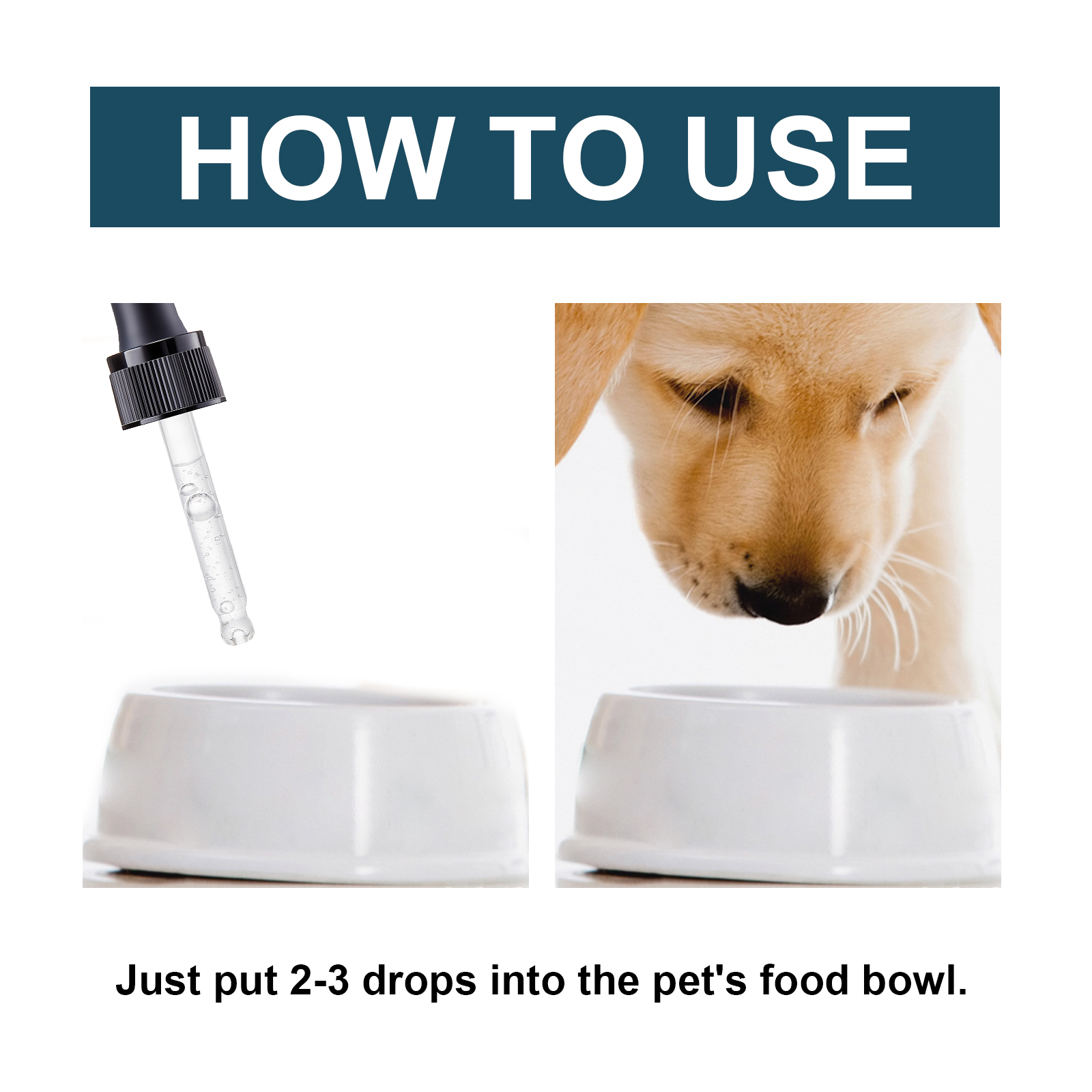 Gotas Orales para Inmunidad de Mascotas, Fórmula Nutricional y de Salud Inmunitaria para Gatos y Perros — imagen 8