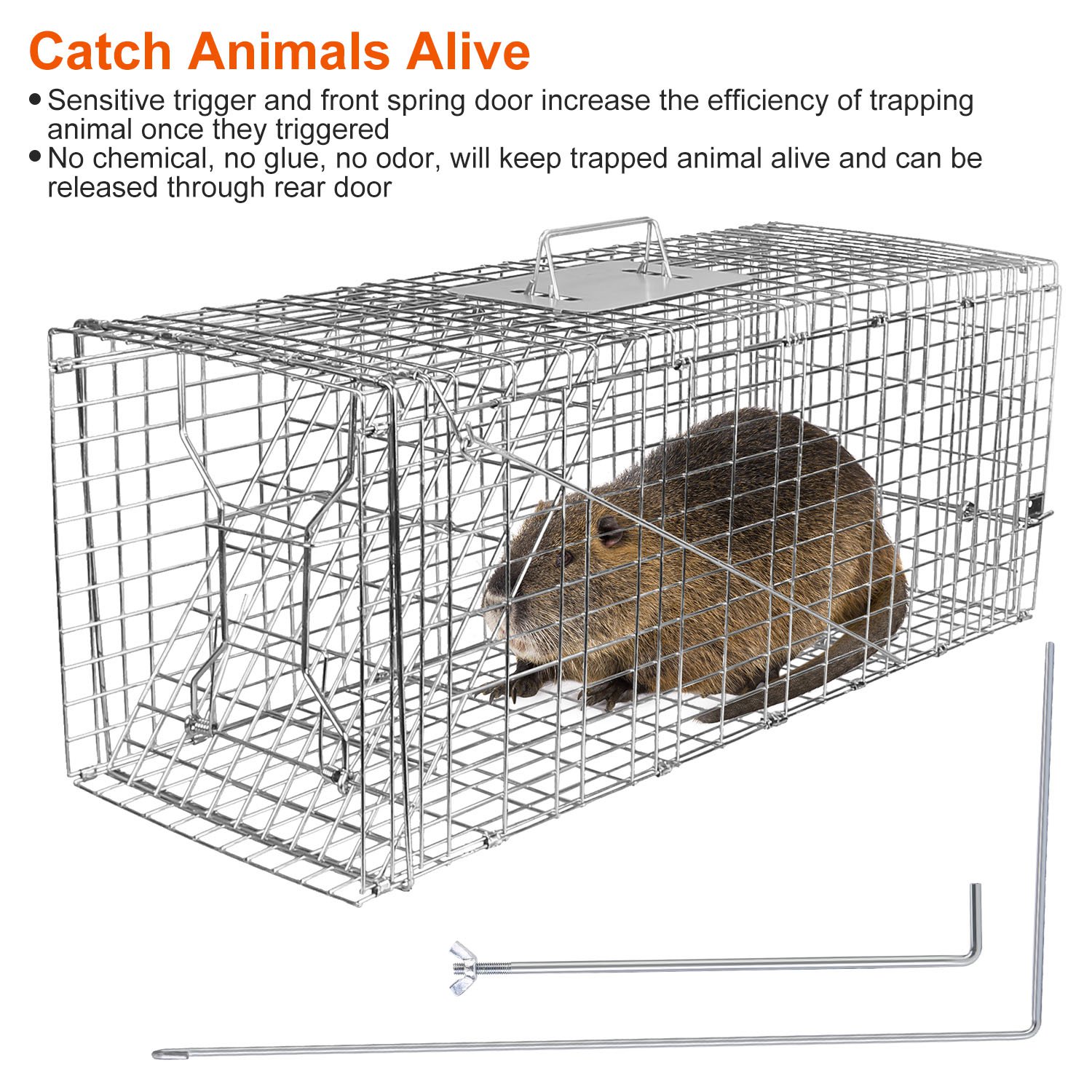 Humane Cat Trap Cage Catch Release Live Animal Rodent Cage Collapsible Galvanized Wire For Raccoons Beavers Groundhogs Foxes Armadillos Fedex Shipping — imagen 4