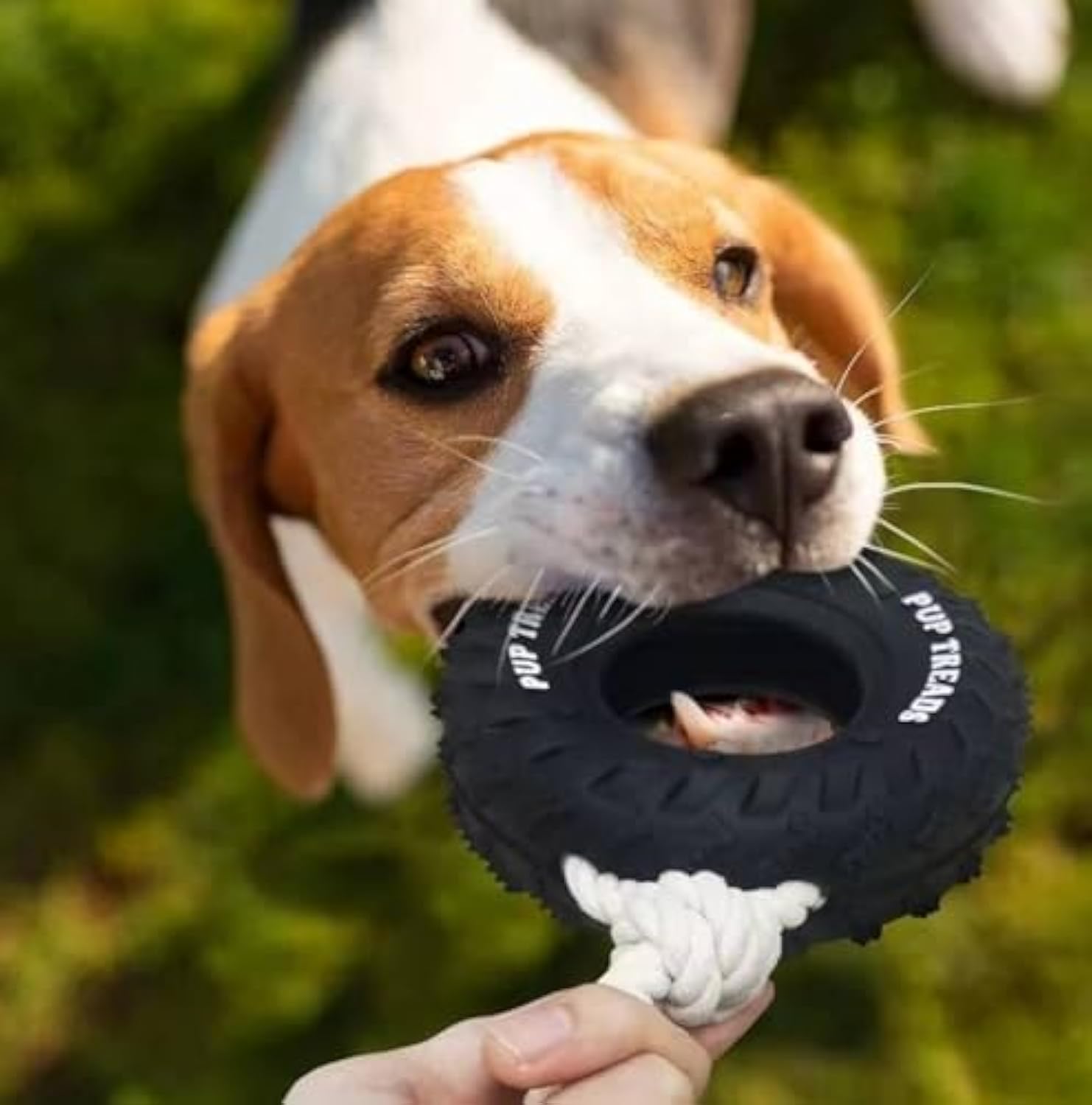 Durable Dog Toys For Aggressive Chewers Tough Interactive Dog Toys For Large Dogs Birthday Dog Chew Toy Teething Toys Treat Dispensing Dog Toy — image 4