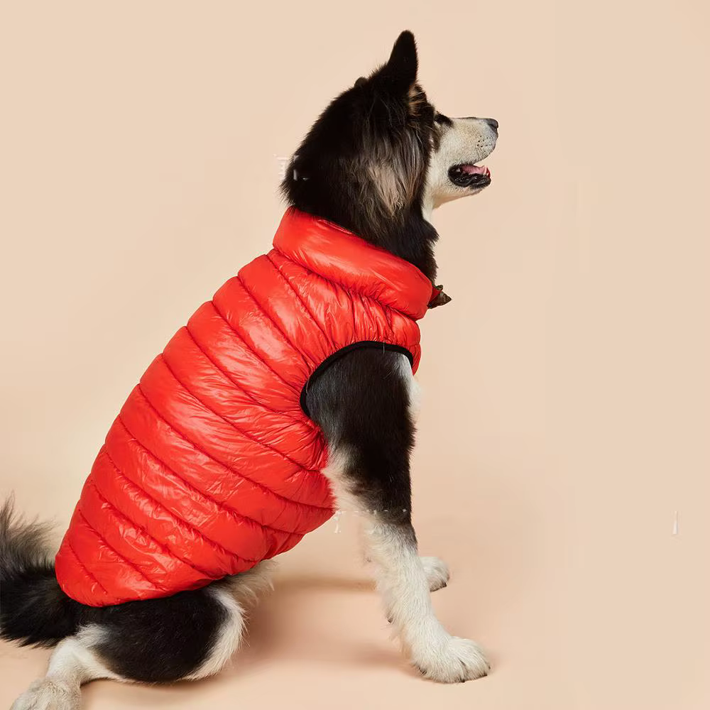 Ropa Nueva para Perros, Otoño e Invierno — imagen 4