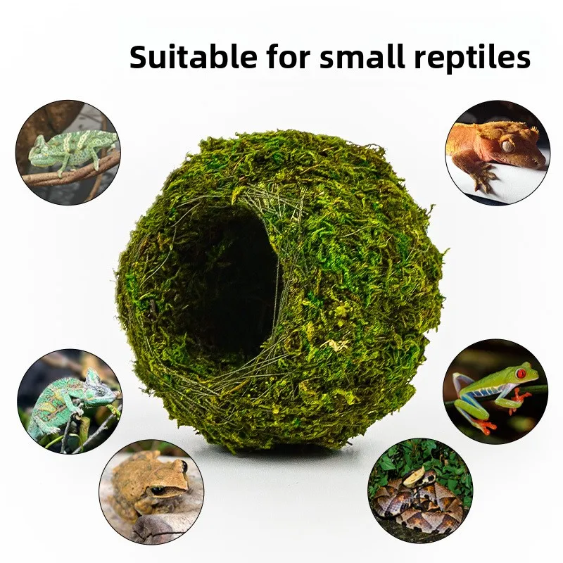 Cueva de Humedad para Reptiles – Refugio con Retención de Hidratación para Serpientes y Geckos Leopardos, Decoración de Terrario Natural de Musgo para Configuraciones Bioactivas