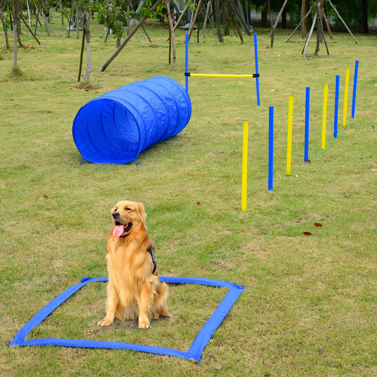 Kit de Entrenamiento de Agilidad para Perros en Jardín - Curso de Obstáculos Competitivos — imagen 1