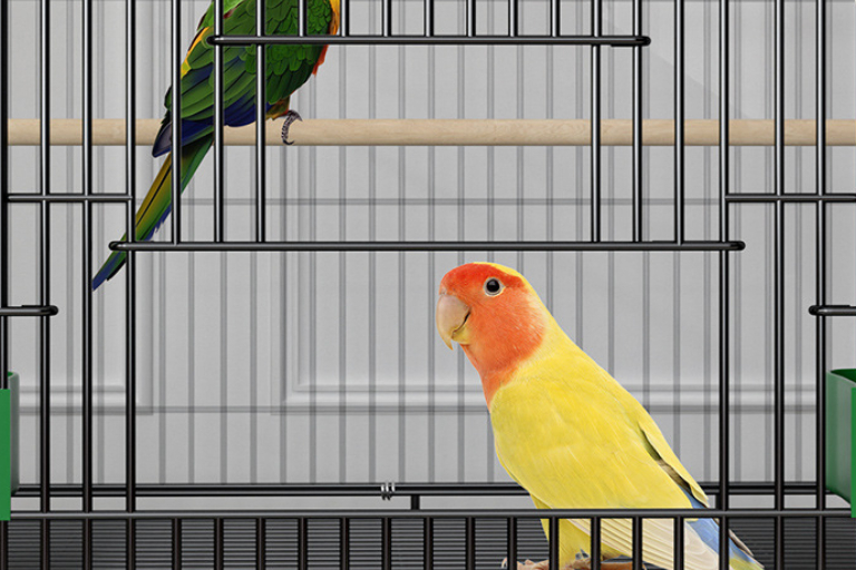 Home Fashion Personality Double Layer New Bird Cage — image 7