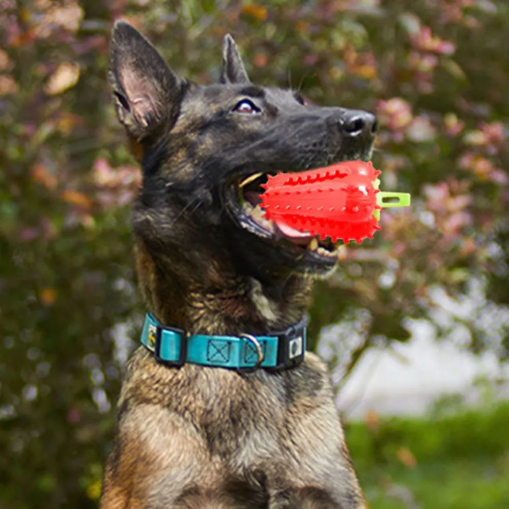 Juguetes Interactivos para Perros - Mordedores Chili Chomper — imagen 6