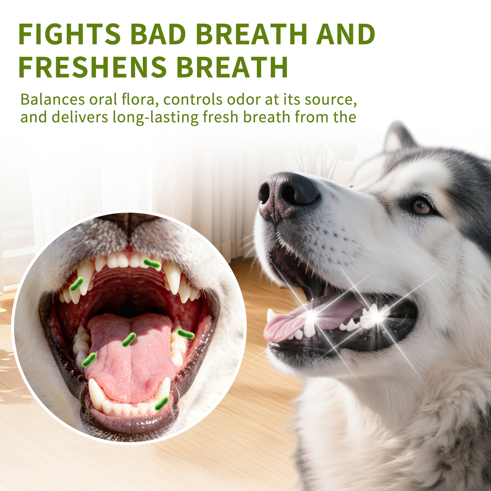Solo Recogida en Tienda - Pasta Dental para Gatos y Perros — imagen 9