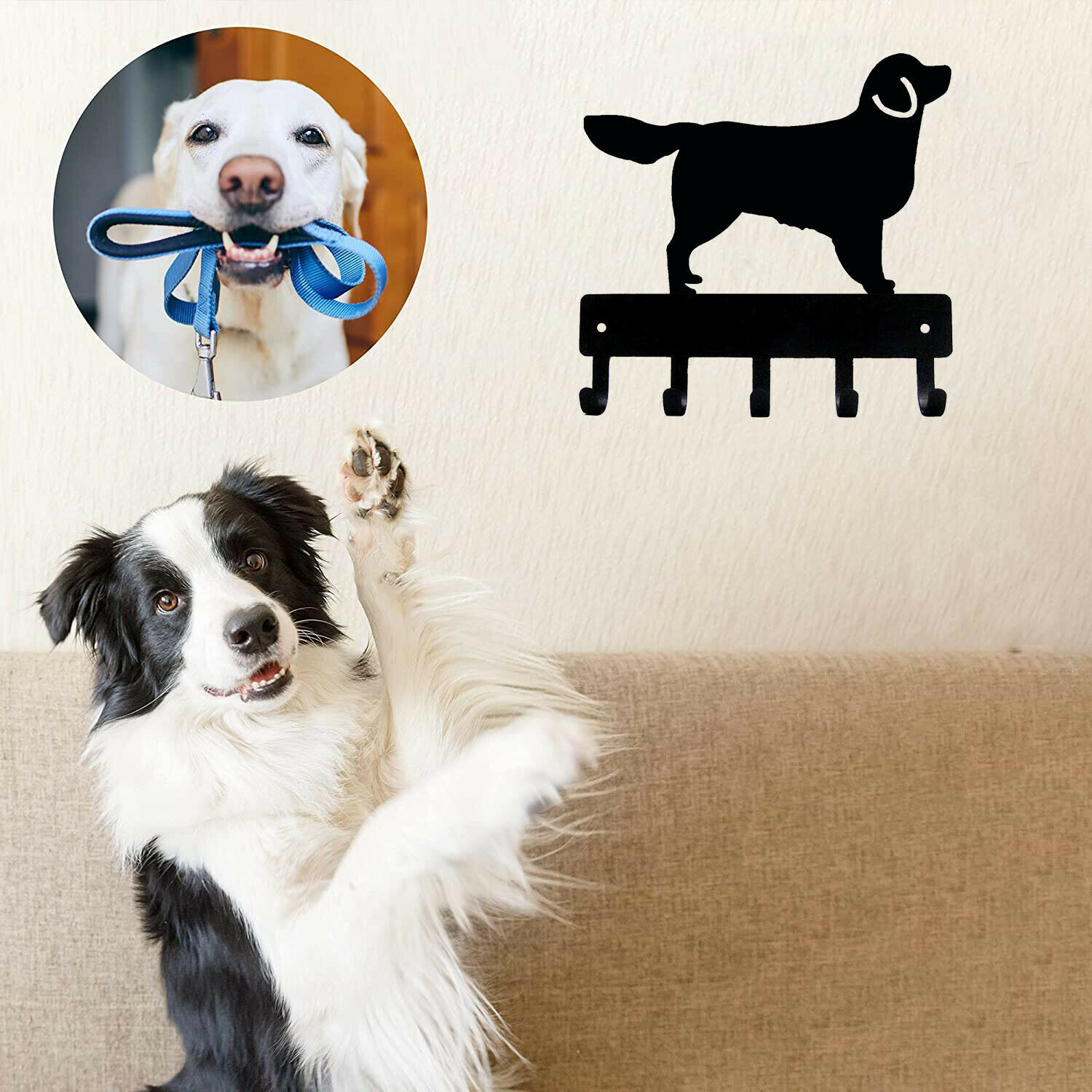 Callejones de Hierro Productos Metálicos Percha para Mascotas Caninas — imagen 3