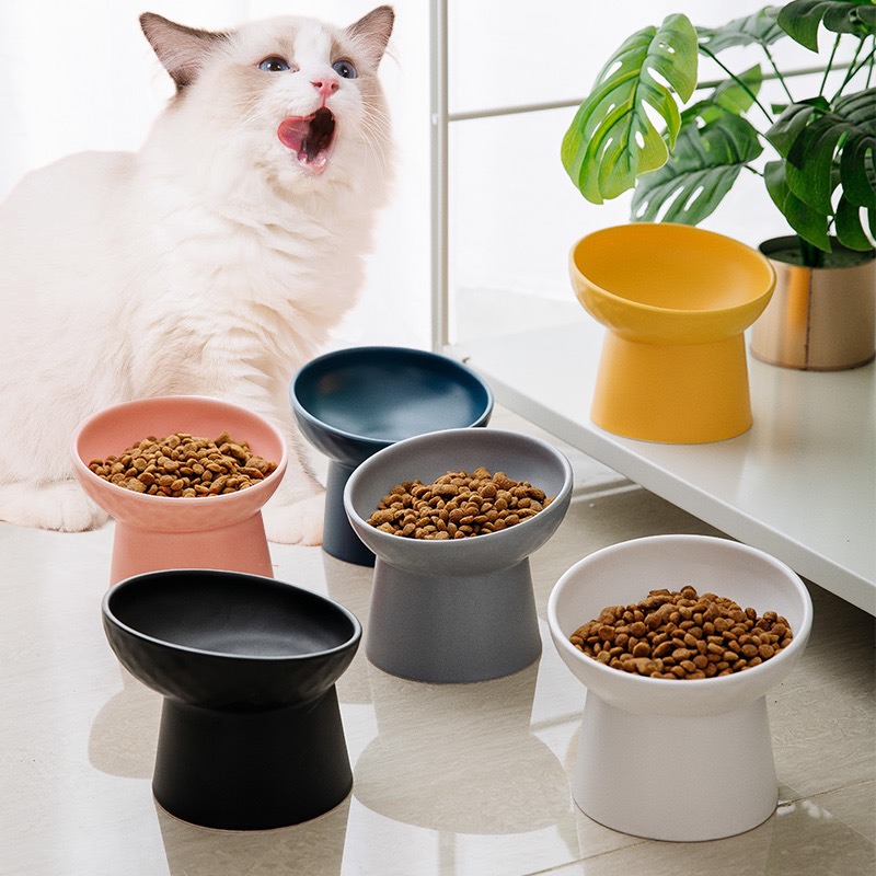 Tazón para gatos antivuelco, comedero y bebedero para gatos, tazón de arroz — imagen 11