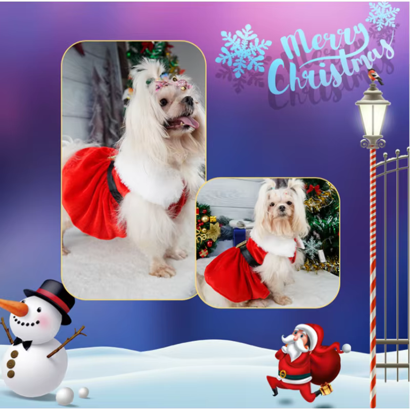 Traje de Navidad para Perros en Tela de Seda Dorada con Cinta Verde y Faldita Princesa — imagen 6